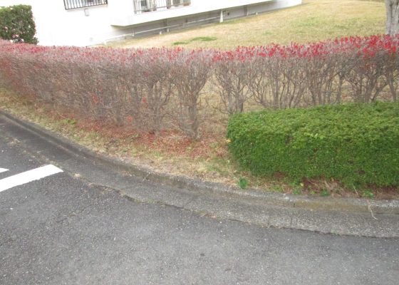 手すり 写真03-前